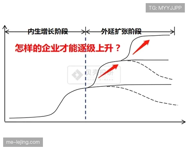 奥利塞与萨卡的成长路径分野：早期发展差异如何影响上限潜力